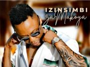 DJ Tira & Pcee – Awungazi ft. General C’mamane